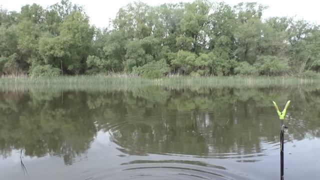 РЫБАКАМ НЕ СМОТРЕТЬ ЭТУ РЫБАЛКУ! Рыбалка на поплавок смотреть онлайн