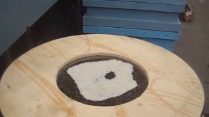 Борть дупло для пчел своими руками.