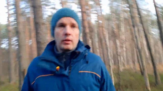 Экскурсия по экотропе Сестрорецкого болота. Значение болот, ООПТ, экотуризм, вандалы, климат.