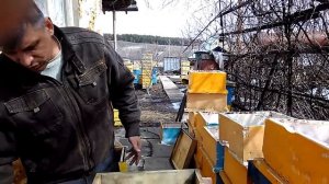 УЛЬЯ ИЗ ПОЛИСТИРОЛА ПЛЮСЫ И МИНУСЫ