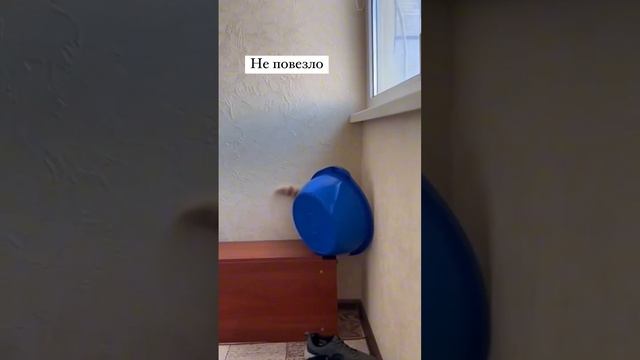 Котика не повезло