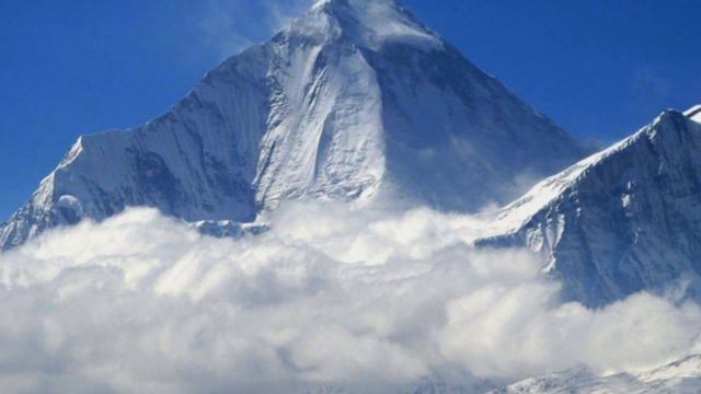 Поднебесные зубья смотреть онлайн