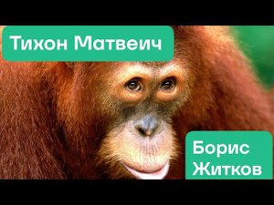 Рассказы про животных. Б. Житков