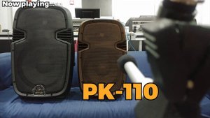 Behringer PK112 vs Behringer PK110 Audio Performance Comparison
