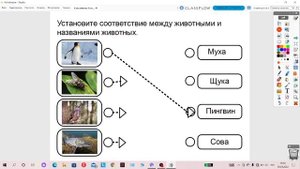 Тема: Такие разные животные