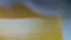 Бобик(Вот наш Бобик, славный пес!Гав! Гав!(наброски)