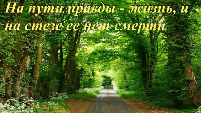 На пути правды - жизнь, и на стезе ее нет смерти. Книга Притчей Соломона 12 - 13. смотреть онлайн