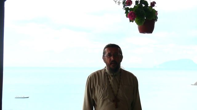 Почему страдают животные и в Церковь не пускают собак. Священник Игорь Сильченков смотреть онлайн