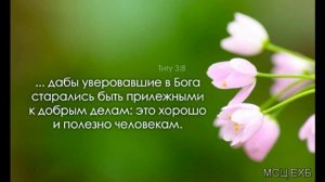 "Здоровая духовная пища". А. Н. Оскаленко. Проповедь. МСЦ ЕХБ.