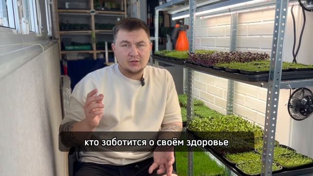 Мой опыт в продаже микрозелени на рынке. Как РЕАЛЬНО начать продавать. #микрозелень