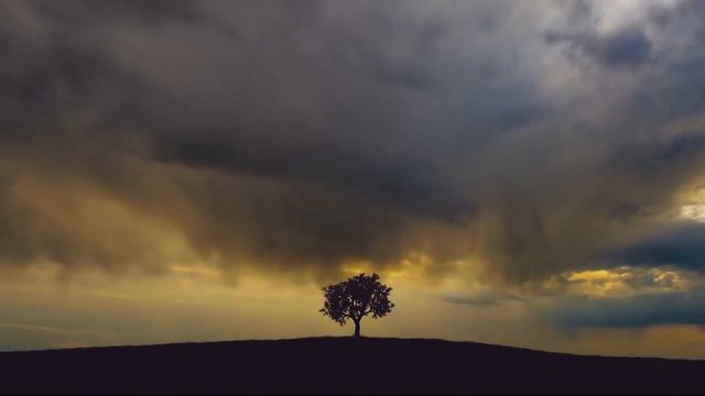 Исцеляющая музыка в лесу, очищающая голову? Расслабляющая музыка, смотреть онлайн