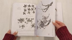 Живопись суми-э. Полный курс рисования в японской традиционной технике