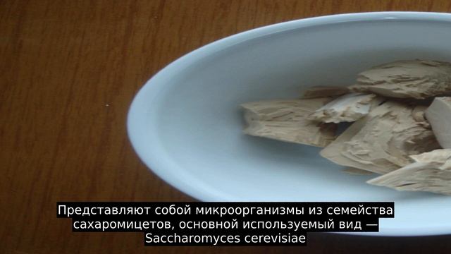 Хлебопекарные дрожжи