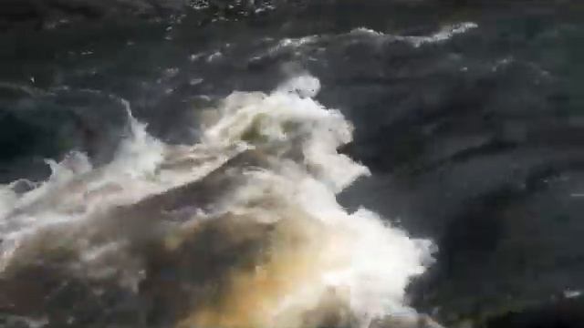 Поньгома 2011 смотреть онлайн