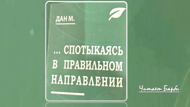 01. Дан М. Спотыкаясь в правильном направлении. Глава 1. Читает Барби.
