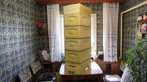 улей Кука , улей который становится все больше популярным среди пчеловодов - часть 1 - обзор улья