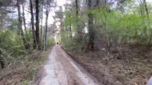 Прогулка по «Тропе здоровья», пос. Нижняя Хобза, г. Сочи