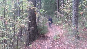 Забытый танец - Автор Анна Макарова музыка Сергей Чекалин поёт Алексей Прага