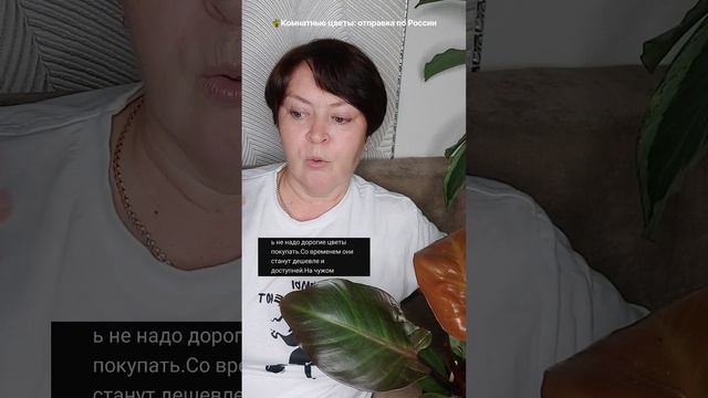 Почему цветы дорогие: дешевле не будет смотреть онлайн