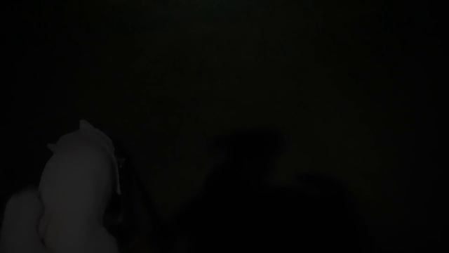백패킹가서 식량을 직접 구해봤습니다ㅣ우도 비양도 백패킹ㅣ이 시기에 이런 사이즈?ㅣ비화식 무늬오징어 찜