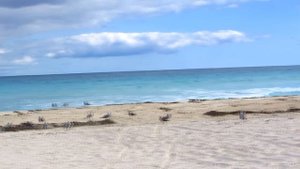 Остров Кайо-Коко. 0+