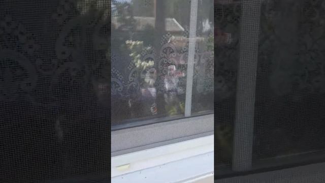 Наличники на пластиковые окна. смотреть онлайн