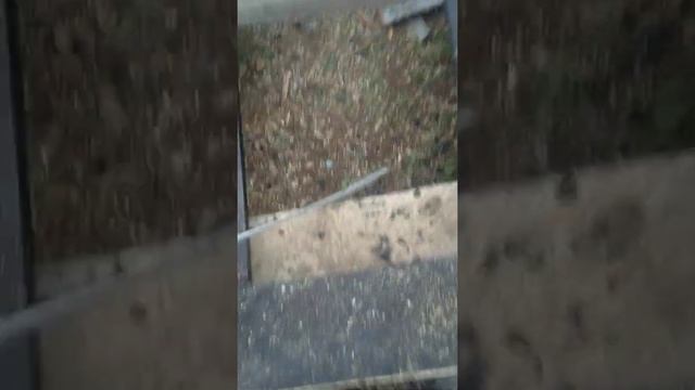 пристрой к деревянному дому из бруса каркасный пристрой 8/4 с ращотом под второй этаж