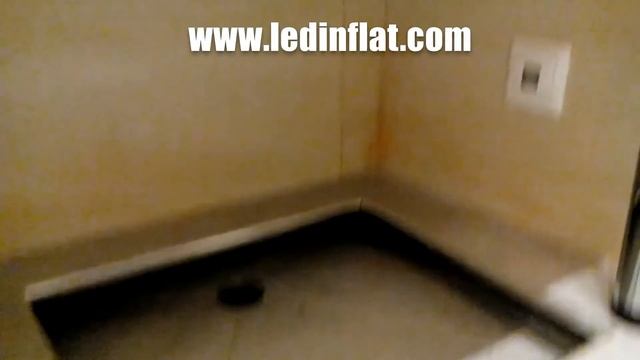 Туалет для домашних животных смотреть онлайн