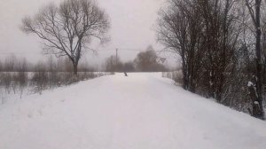 деревня Шадрино