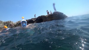 Подводный мир