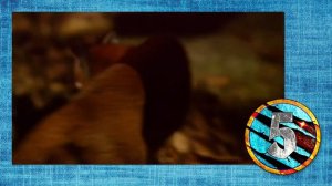 ТОП 10 ВЫМИРАЮЩИХ КОШЕК