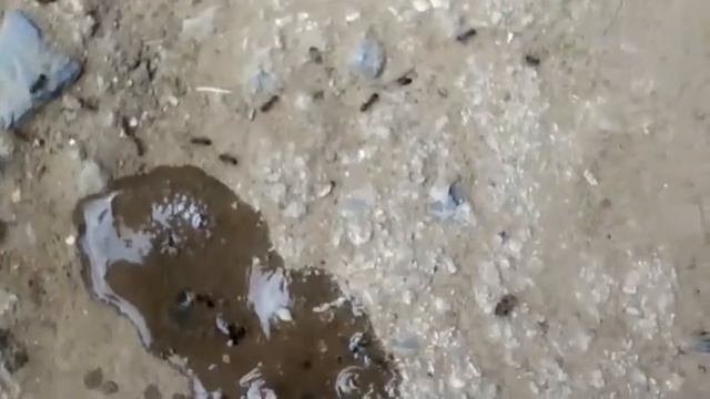 Чистин смотреть онлайн