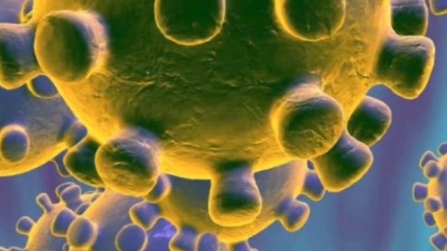 Дезинфекция обуви смотреть онлайн