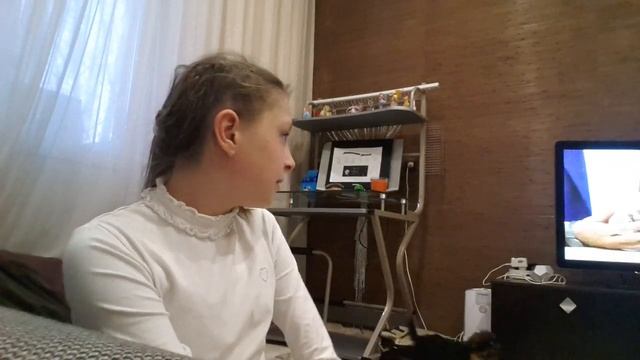 Как ухаживать за йоркширским терьером смотреть онлайн