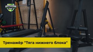 Техника выполнения в тренажере "Тяга нижнего блока" с Александрой Страковской