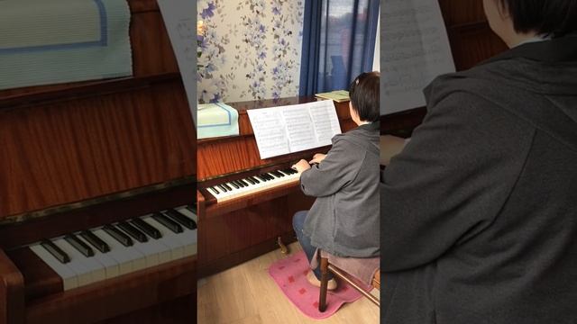 Продам фортепиано Petrof смотреть онлайн