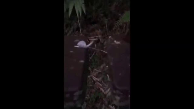 Вы точно такого не видели! Это Удивит Вас! Необычные явления, странности, загадочные события!