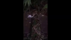 Вы точно такого не видели! Это Удивит Вас! Необычные явления, странности, загадочные события!