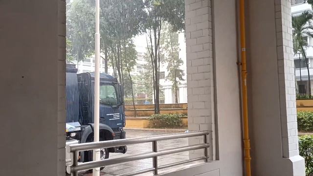 Alba Mercedes Arocs and Recycling MAN TGS (early but rainy collection) смотреть онлайн