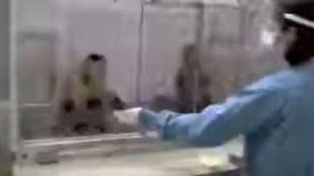 УПРАВЛЕНИЕ ЧЕЛОВЕЧЕСТВОМ, ПОДМЕНА ЦЕННОСТЕЙ.