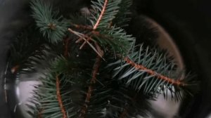 Йоль в Норвегии. Как его праздновали викинги. Ритуалы.