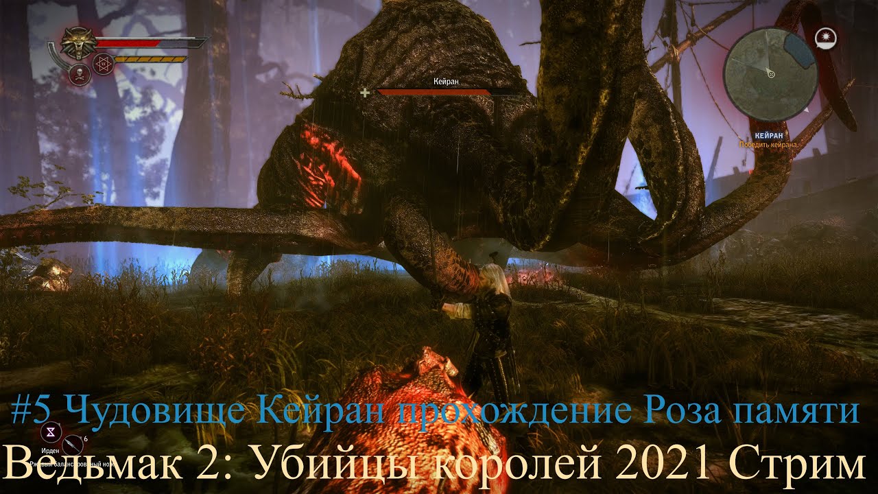 Ведьмак 2 Убийцы королей 2021 Стрим Stream #5 Чудовище Кейран прохождение Роза памяти