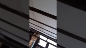 Как избавиться от конденсата на профнастиле