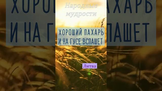Народные мудрости Литва пословицы литва народные мудрость чувства мысли знания