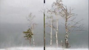 13 декабря -День Андрея Первозванного