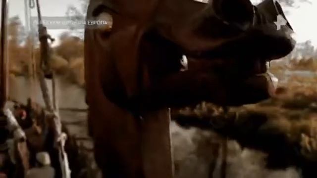 ТАЙНЫ ЧАПМАН 19 11 2020 смотреть онлайн