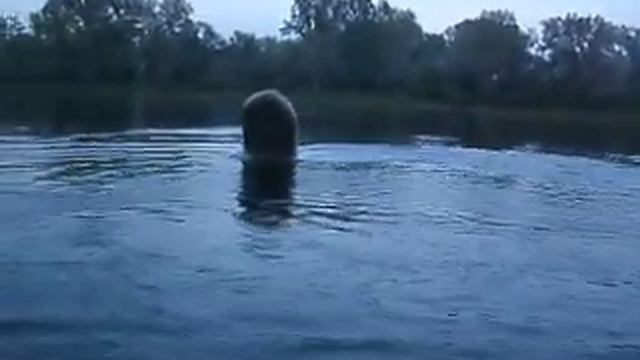 Мой дрифт) смотреть онлайн