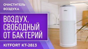 Очиститель воздуха Kitfort KT-2813