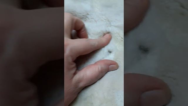 Реставрация шубы из бобра))) смотреть онлайн