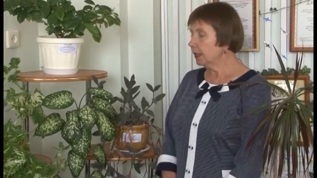 Рубрика "Дачные секретики" от 19.10.2017 г. смотреть онлайн